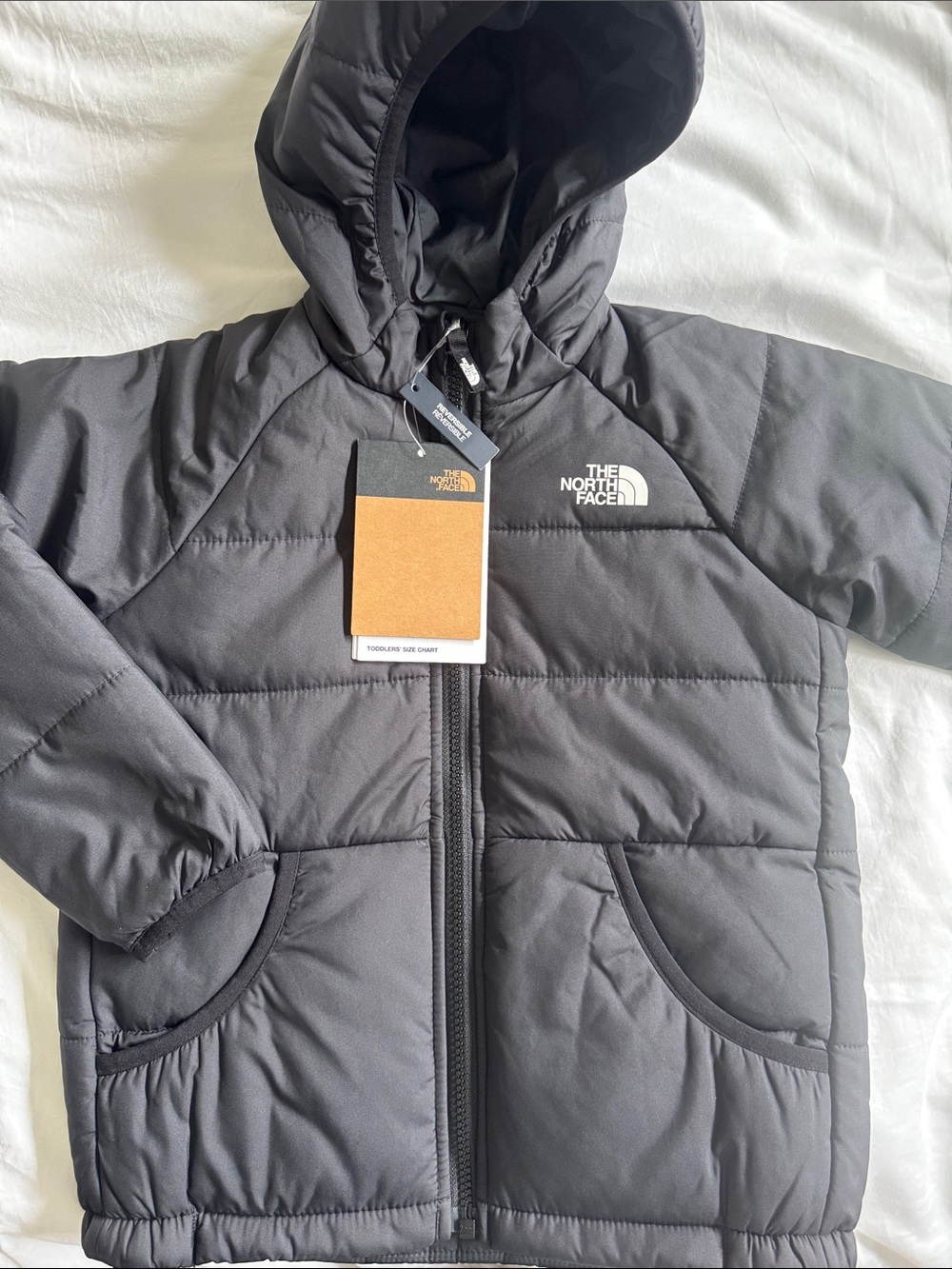 The North Face Kids Black Hooded Puffer Jacket
